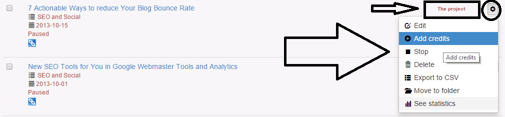 managing your projects at ViralContentBuzz - screenshot