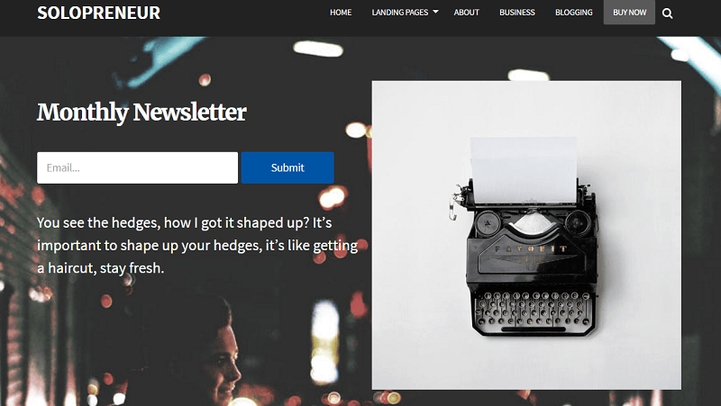 solopreneur features _ second landing page example